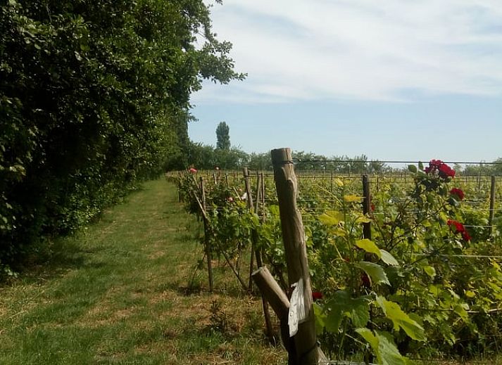 Cozy sitting area in Holiday home in Simonshaven, ideal for relaxation, Voorne Putten.