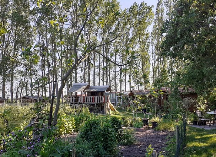 Unterkunft 690332 - Ferienhaus Voorne Putten/Hoekse waard - Vakantiehuis in Simonshaven