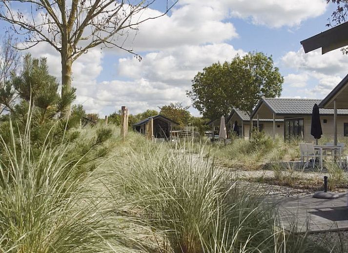 Verblijf 6904107 - Vakantiewoning Voorne Putten/Hoekse waard - Vakantiehuis De Duinpan 12