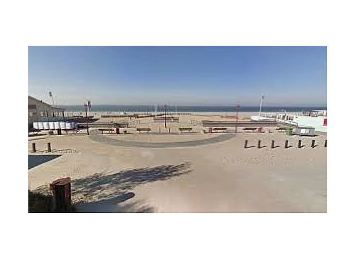 Aussicht von Pinquin 31 Chalet in Rockanje mit Pfau im Garten, ruhige Lage in Voorne Putten, ideal fuer Naturliebhaber.