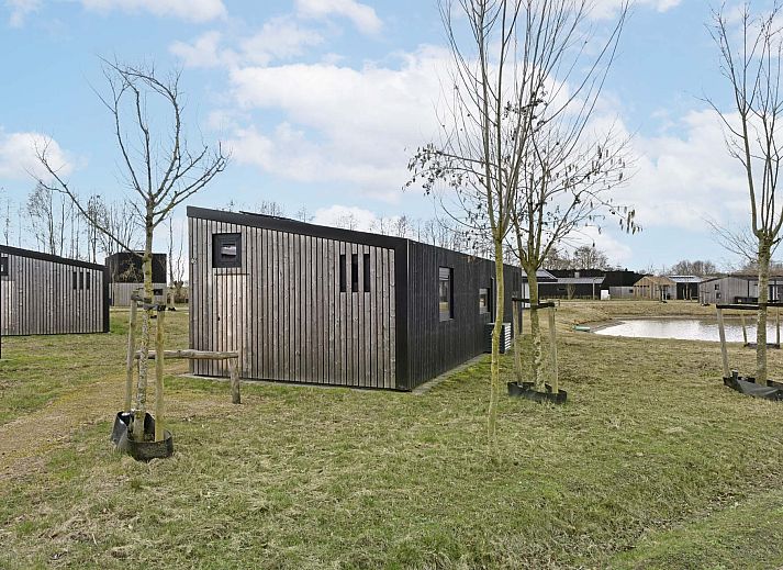 Guest house 691504 - Holiday property Voorne Putten/Hoekse waard - Vrijstaande woning in Zwartewaal