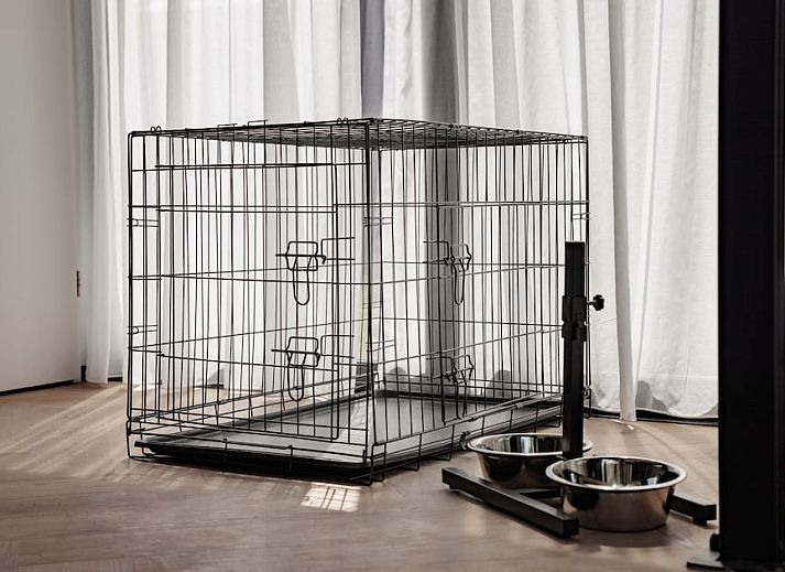 Verblijf 691509 - Vakantiewoning Voorne Putten/Hoekse waard - Sunset Pets 6