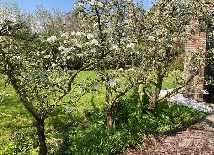 Dining table at the Cottage in Tinte, perfect for cozy meals.