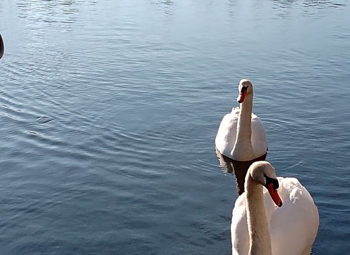 Moderne keuken in Vakantiehuis in Rotterdam met uitzicht op het water, ideaal voor koken in Rotterdam eo, Zuid-Holland.