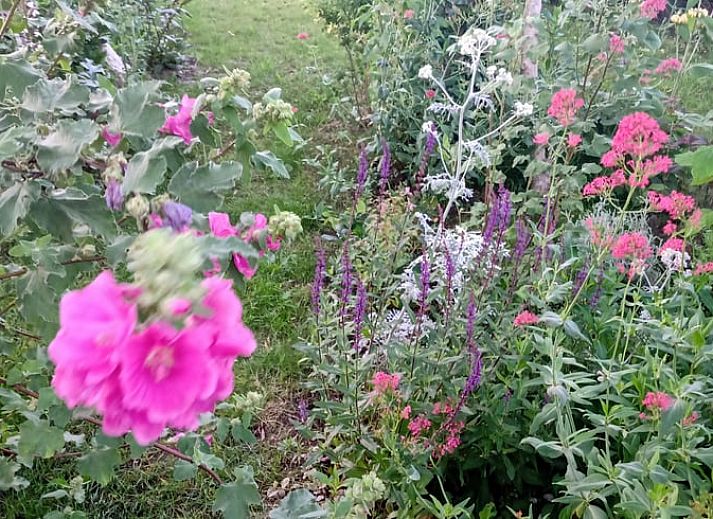 Stijlvolle woonboot van Vakantiehuis in Rotterdam, gelegen aan het water, biedt een unieke verblijfservaring in Zuid-Holland.