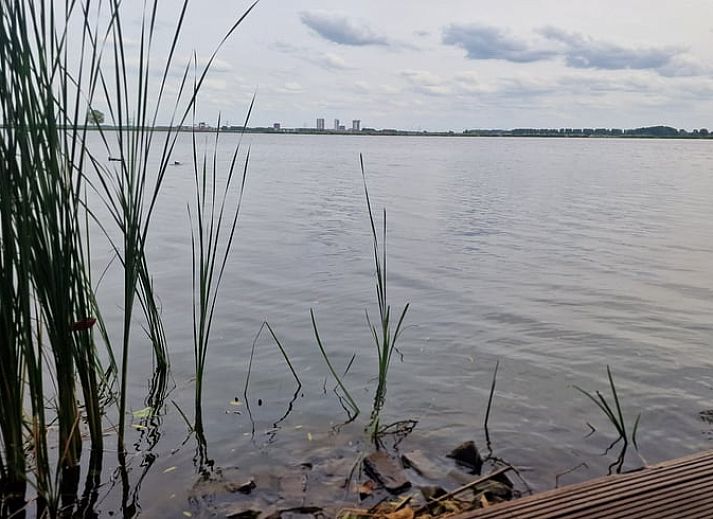 Veranda of House in Bleiswijk overlooking the water in Rotterdam, South Holland.