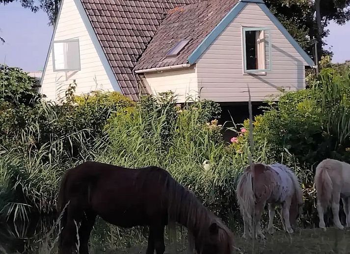 Verblijf 700603 - Vakantiewoning Rotterdam eo - Cottage in the Green