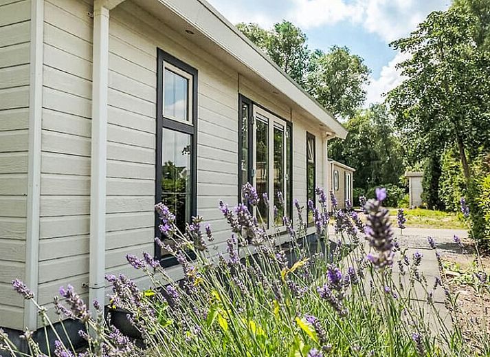 Guest house 701108 • Holiday property Rotterdam eo • Vakantiehuis Hackfort 4