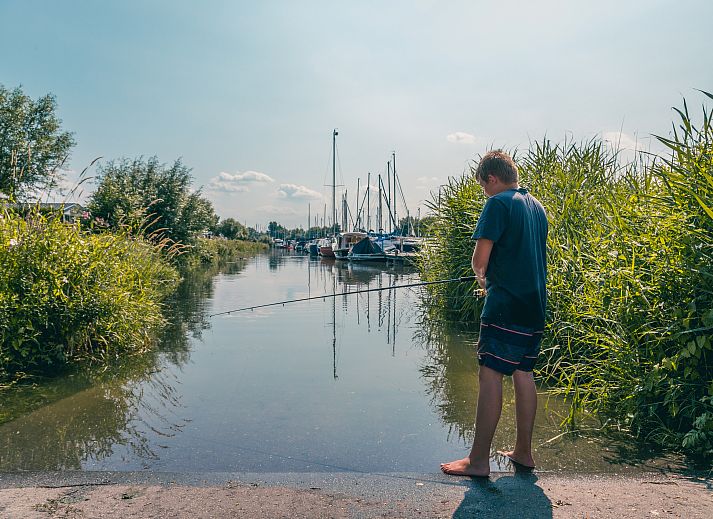 Unterkunft 701111 - Ferienhaus Rotterdam eo - EuroParcs De Biesbosch