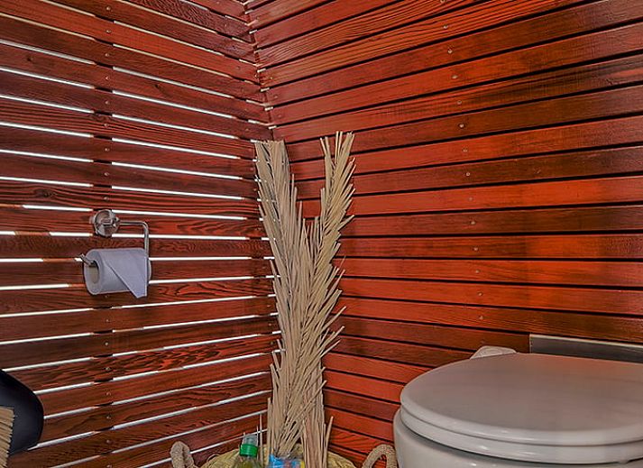 Gezellige binnenruimte van Vakantiehuis in Dordrecht, Zuid-Holland, met houten interieur en uitzicht op de natuur.