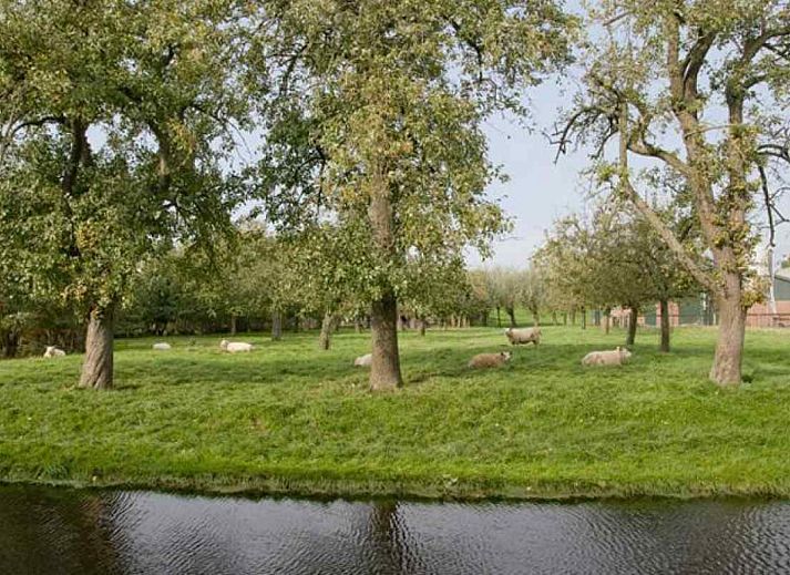 Lichte badkamer met dakraam in vakantiehuis ZH043, Zuid-Holland.