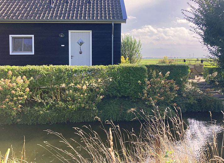 Grazende koeien in de omgeving van ZH043 vakantiehuis, Rotterdam.