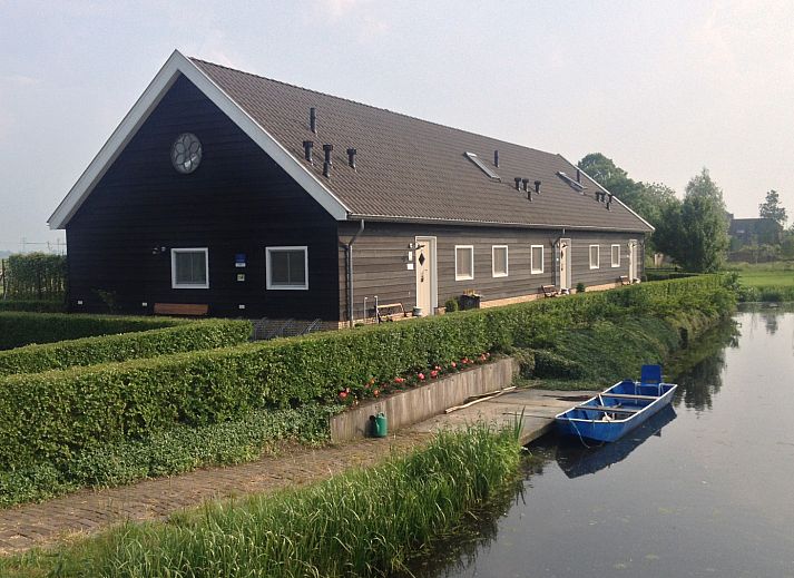 Grazende koeien in de omgeving van ZH043 vakantiehuis, Rotterdam.