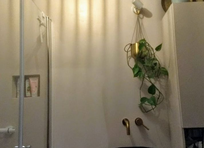 Guest house 710119 - Holiday property Rijk van Nijmegen - Vakantiehuisje in Groesbeek