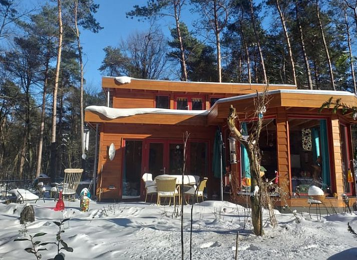 Vakantiehuisje in Groesbeek omringd door kleurrijke bloemen in het Rijk van Nijmegen, Gelderland.