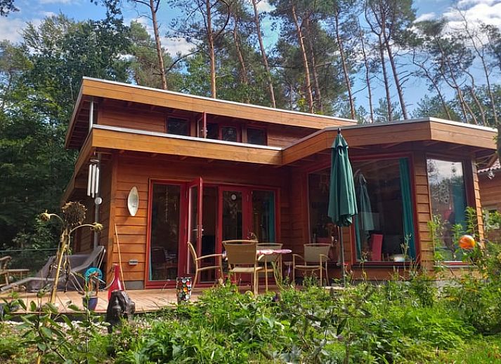 Vakantiehuisje in Groesbeek omringd door kleurrijke bloemen in het Rijk van Nijmegen, Gelderland.