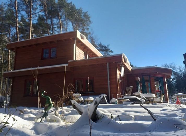 Terras van Vakantiehuisje in Groesbeek met parasol en zitplaatsen, ideaal voor ontspanning in Gelderland.