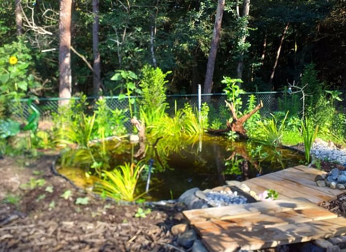Terras van Vakantiehuisje in Groesbeek met parasol en zitplaatsen, ideaal voor ontspanning in Gelderland.