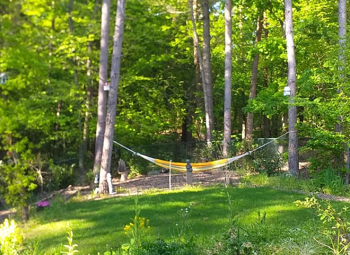 Gezellige binnenruimte van Vakantiehuisje in Groesbeek met kleurrijke inrichting in het Rijk van Nijmegen.