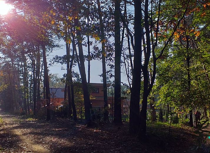 Gezellige binnenruimte van Vakantiehuisje in Groesbeek met kleurrijke inrichting in het Rijk van Nijmegen.