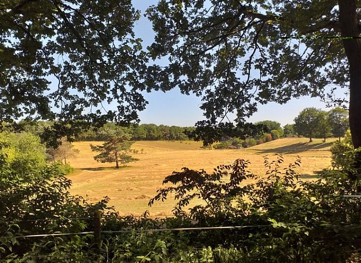 Vakantiehuisje in Groesbeek in een besneeuwd landschap, winterpracht in het Rijk van Nijmegen, Gelderland.