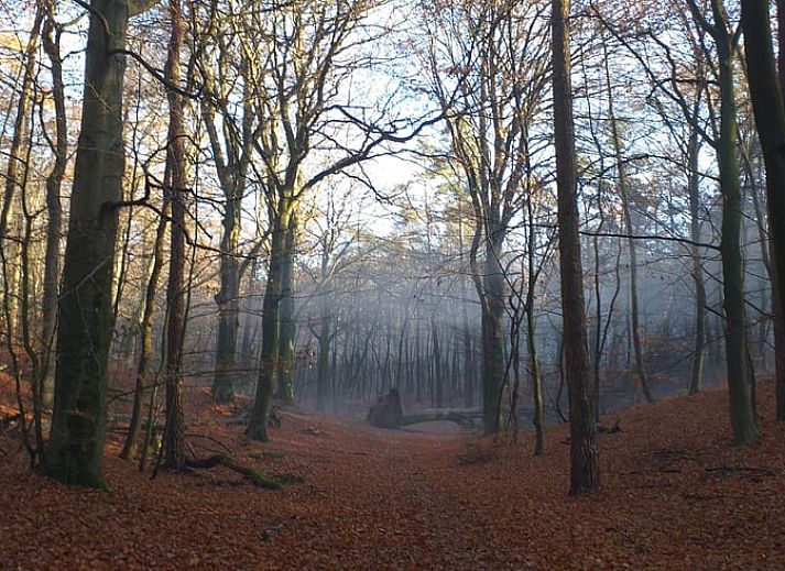 Vakantiehuisje in Groesbeek in een besneeuwd landschap, winterpracht in het Rijk van Nijmegen, Gelderland.