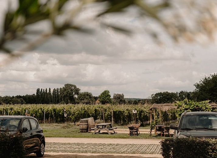 Blick von der Terrasse des Ferienhauses in Groesbeek, umgeben von Gruen, Rijk van Nijmegen, Gelderland.