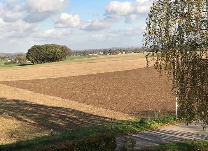 Geniet van de serene wijngaard bij Vakantiehuisje in Groesbeek, gelegen in het groene Rijk van Nijmegen, Gelderland.