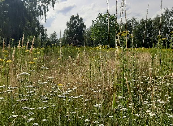 Guest house 710203 - Holiday property Rijk van Nijmegen - Vakantiehuisje in Malden