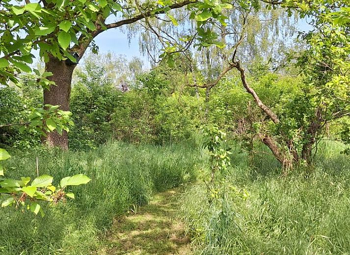 Guest house 710203 - Holiday property Rijk van Nijmegen - Vakantiehuisje in Malden