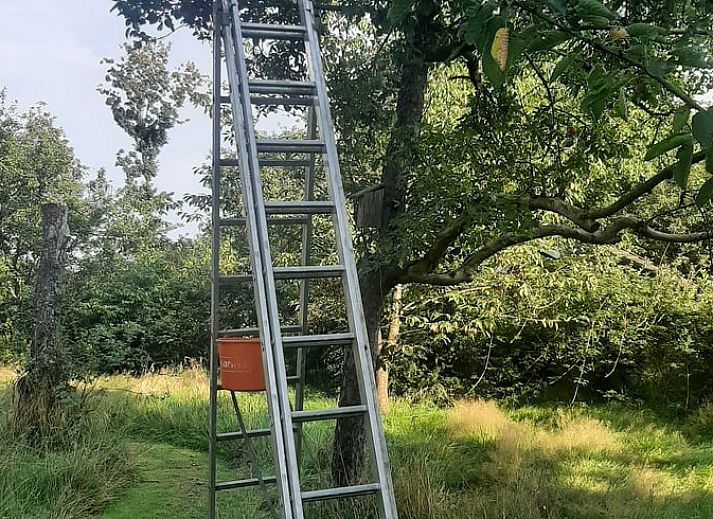 Guest house 710204 - Holiday property Rijk van Nijmegen - Vakantiehuis in Malden