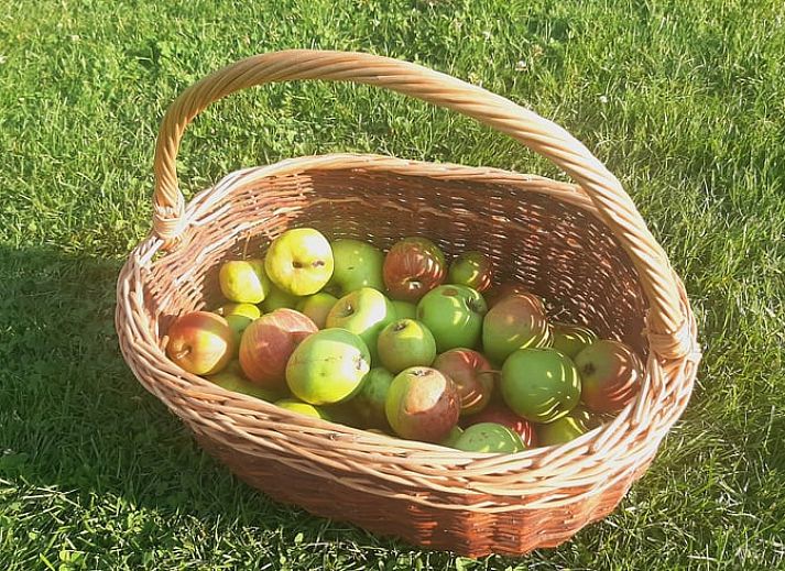 Guest house 710204 - Holiday property Rijk van Nijmegen - Vakantiehuis in Malden