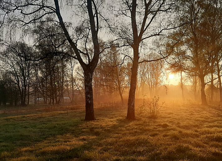 Guest house 710205 - Holiday property Rijk van Nijmegen - Huisje in Malden