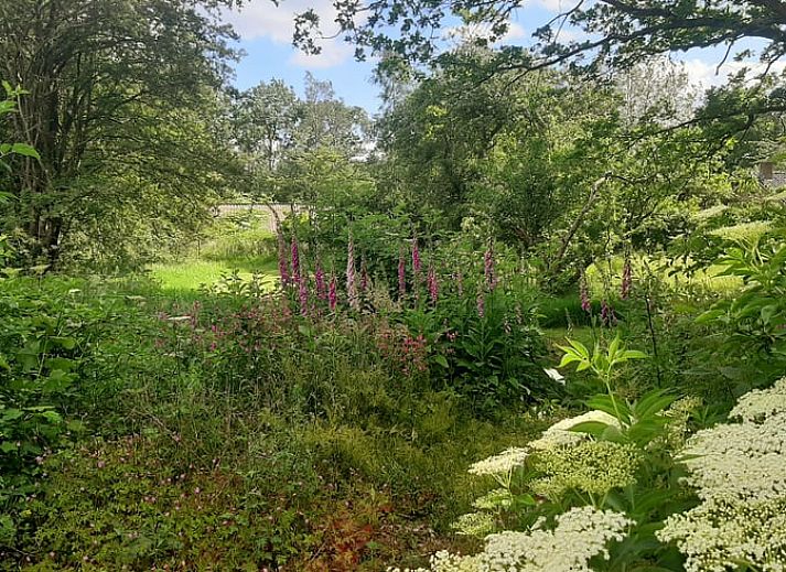 Guest house 710205 - Holiday property Rijk van Nijmegen - Huisje in Malden