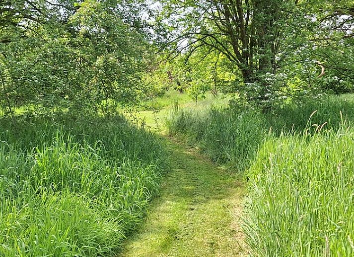 Guest house 710205 - Holiday property Rijk van Nijmegen - Huisje in Malden