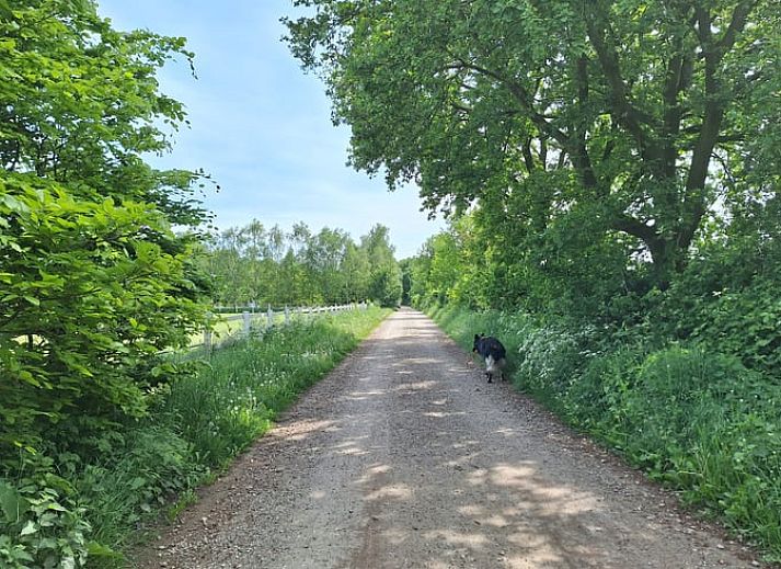 Guest house 710205 - Holiday property Rijk van Nijmegen - Huisje in Malden