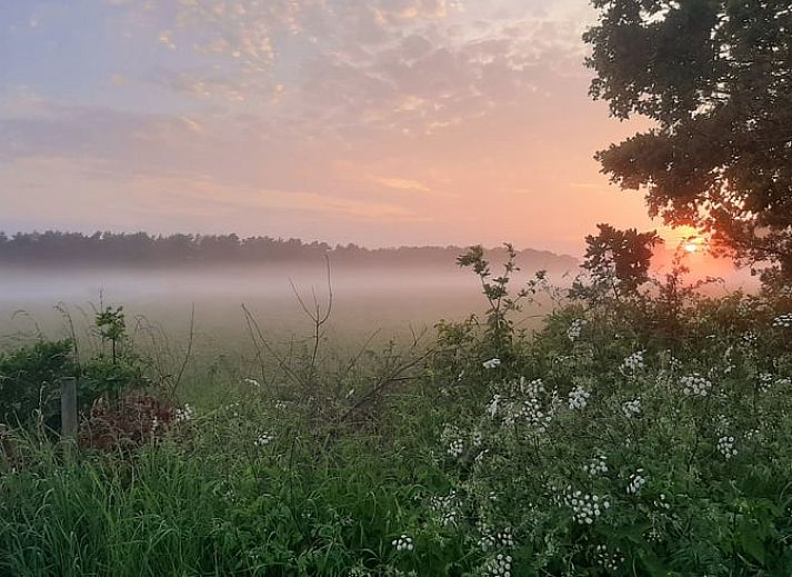 Guest house 710205 - Holiday property Rijk van Nijmegen - Huisje in Malden