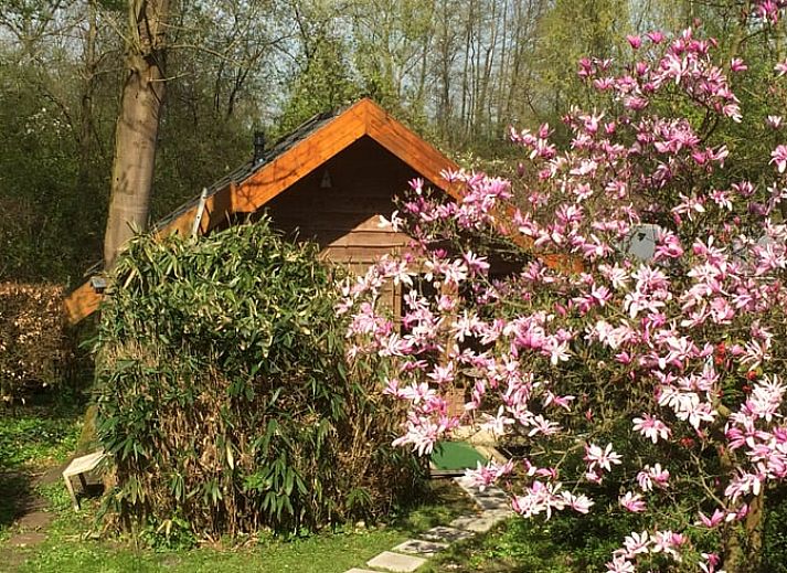 Unterkunft 710601 • Ferienhaus Rijk van Nijmegen • Vakantiehuis in Ubbergen