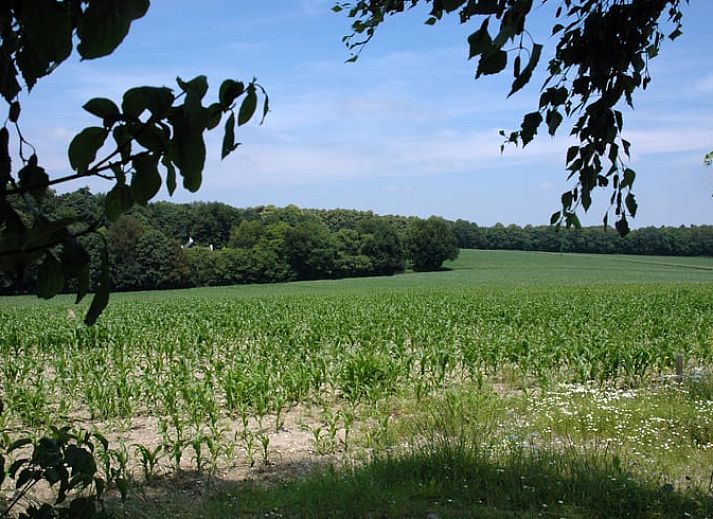Unterkunft 710707 - Ferienhaus Rijk van Nijmegen - Vakantiehuis in Berg en Dal