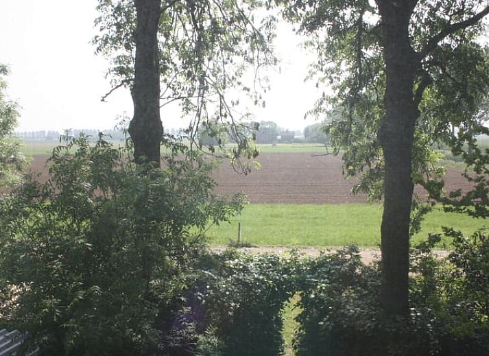 Guest house 710805 - Holiday property Rijk van Nijmegen - Huisje in Batenburg