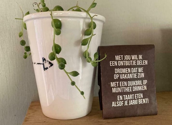 Unterkunft 711502 - Ferienhaus Rijk van Nijmegen - Huisje in Alverna