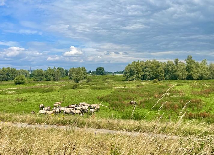 Seating area with view through to bedroom in Cottage in Erlecom, Gelderland.