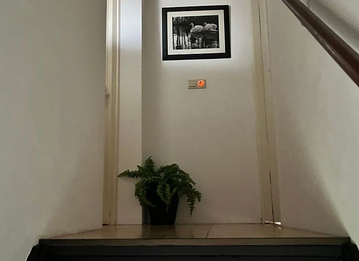 Unterkunft 712001 - Ferienhaus Rijk van Nijmegen - Vakantiehuis in Kekerdom