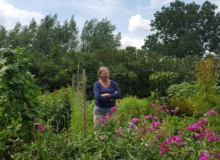 Charmanter Eingang zum Ferienhaus in Balgoij, Rijk van Nijmegen, Gelderland, umgeben von bluehenden Schlingpflanzen und historischen Backsteinen.