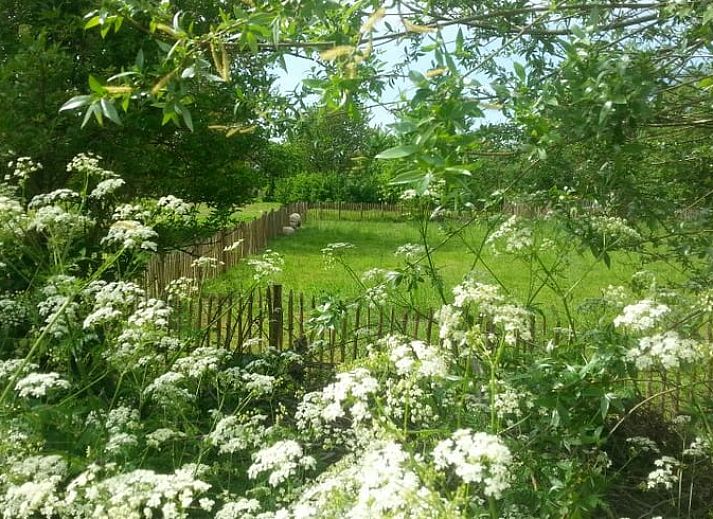 Charmanter Eingang zum Ferienhaus in Balgoij, Rijk van Nijmegen, Gelderland, umgeben von bluehenden Schlingpflanzen und historischen Backsteinen.