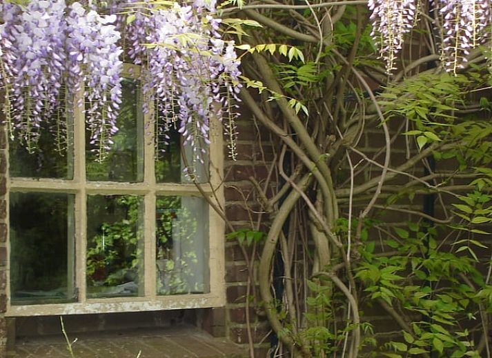 Gemuetliches Schlafzimmer im Ferienhaus in Balgoij, Rijk van Nijmegen, Gelderland mit Holzinterieur und bequemen Betten.