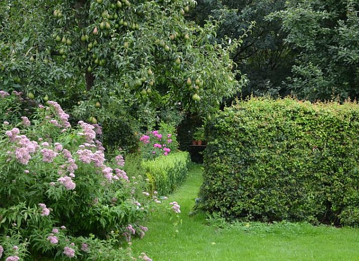 Gemuetliches Schlafzimmer im Ferienhaus in Balgoij, Rijk van Nijmegen, Gelderland mit Holzinterieur und bequemen Betten.