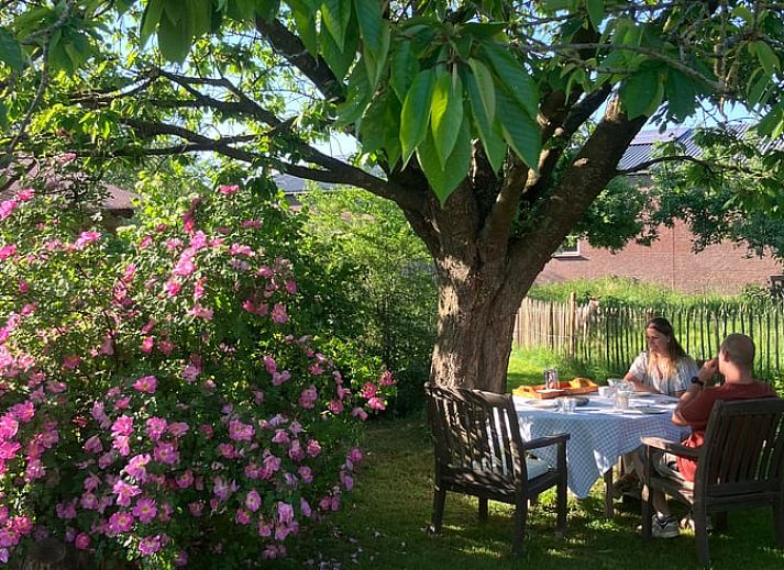 Geniessen Sie den ruhigen Garten im Holiday home in Balgoij, einem charmanten Ferienhaus in Rijk van Nijmegen, Gelderland.