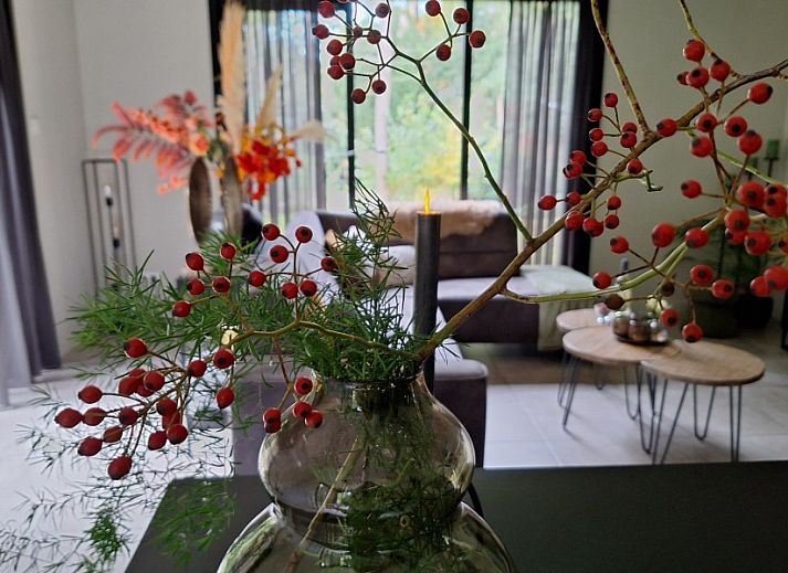 Unterkunft 990115 - Ferienhaus Salland - Borkerijck