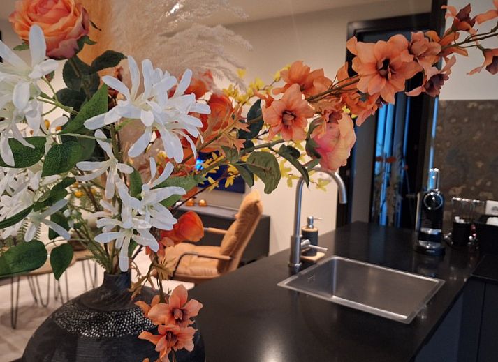 Unterkunft 990115 - Ferienhaus Salland - Borkerijck